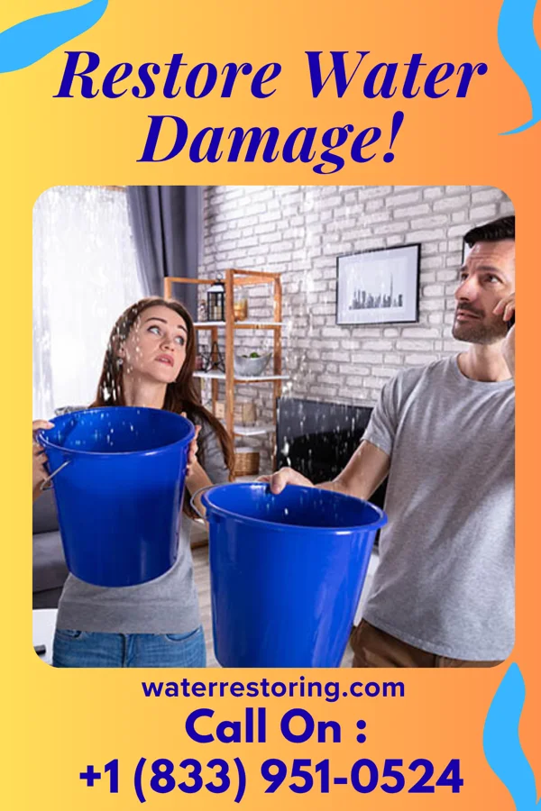 water restoration Horizon Property Restoration Professionals Leeton