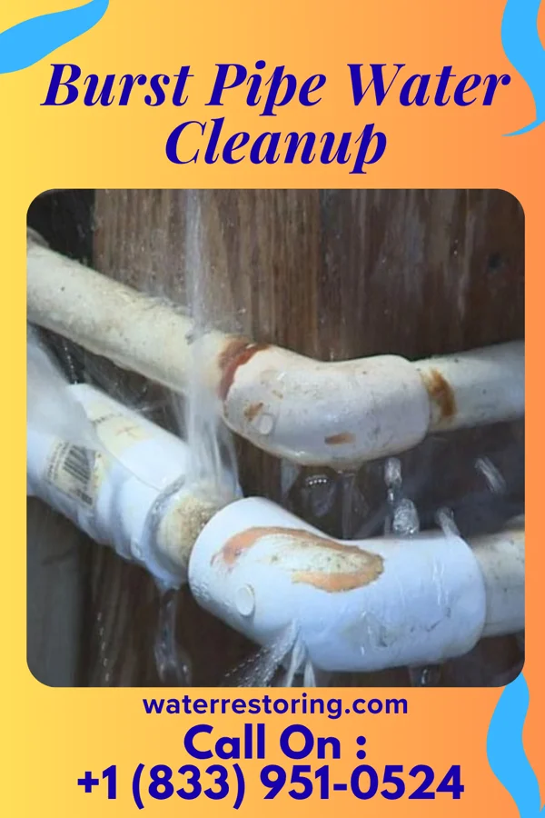 Burst Pipe Water Cleanup in Leeton, MO