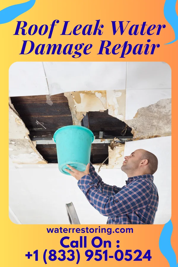 Roof Leak Water Damage Repair in Leeton, MO